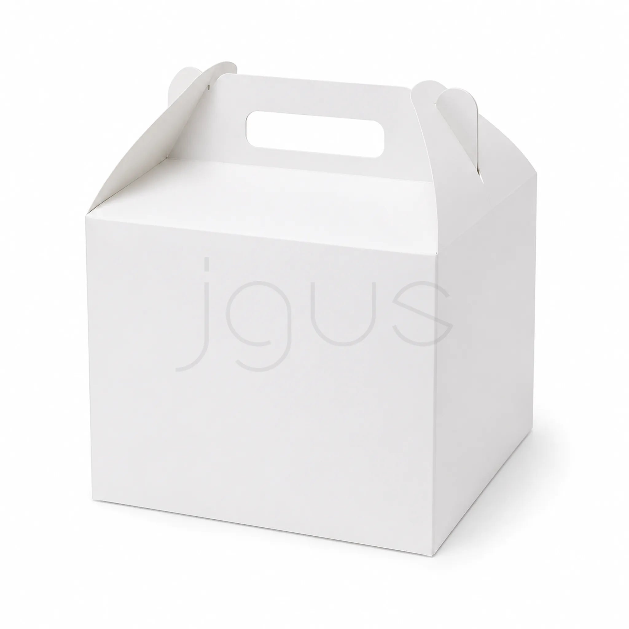 Buy Handle Boxes-White Online UAE | JGUS Pack