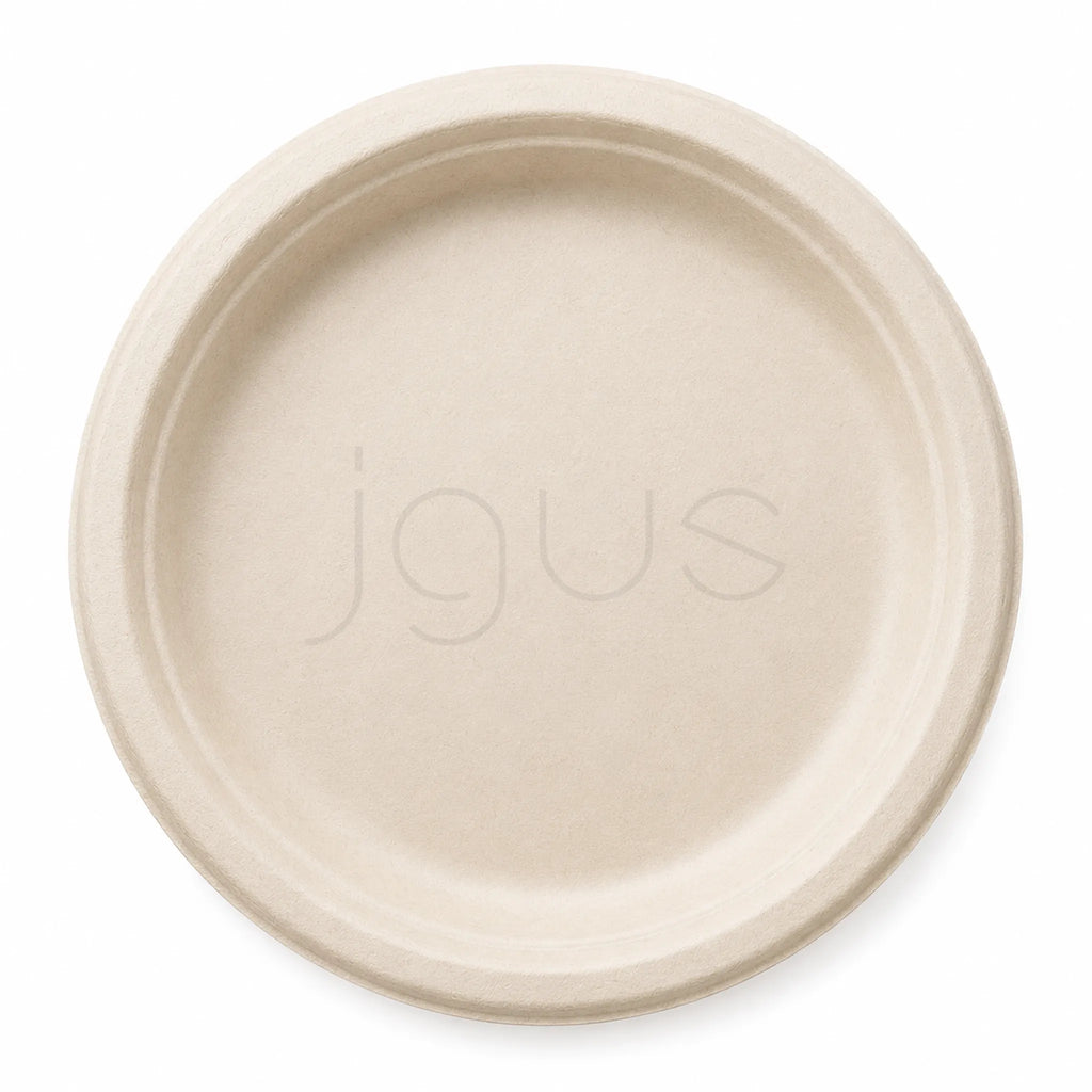 Bagasse plate eco friendly plate for food packaging