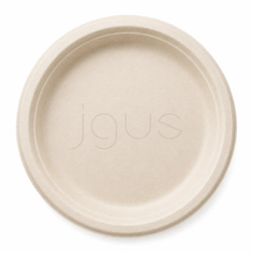 Bagasse plate eco friendly plate for food packaging